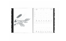 Load image into Gallery viewer, 'I Am Digital' Virtual Book