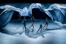 Load image into Gallery viewer, #49/66 Phaser BoDY Scarf