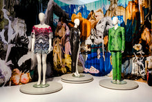 Load image into Gallery viewer, Smudge Pillow