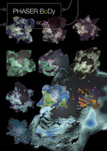 Load image into Gallery viewer, #5/66 Phaser BoDY Scarf